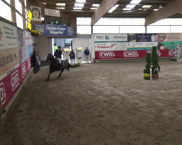 Reitturnier Wachtberg-Adendorf 2019