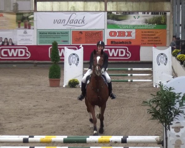 Reitturnier Wachtberg-Adendorf 2019