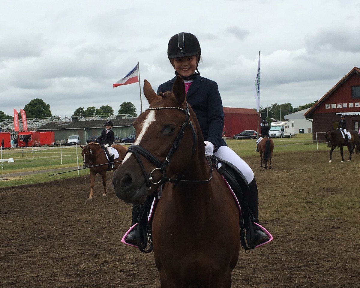 Dressurpferd Unity (Welsh Pony (Sek.B), 2000, von Campari)