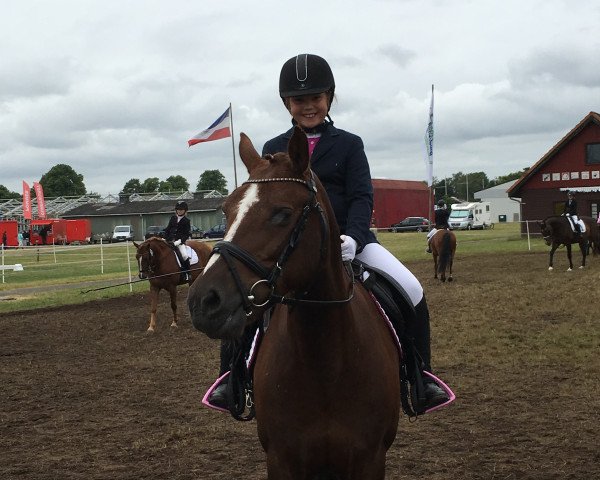 dressage horse Unity (Welsh-Pony (Section B), 2000, from Campari)
