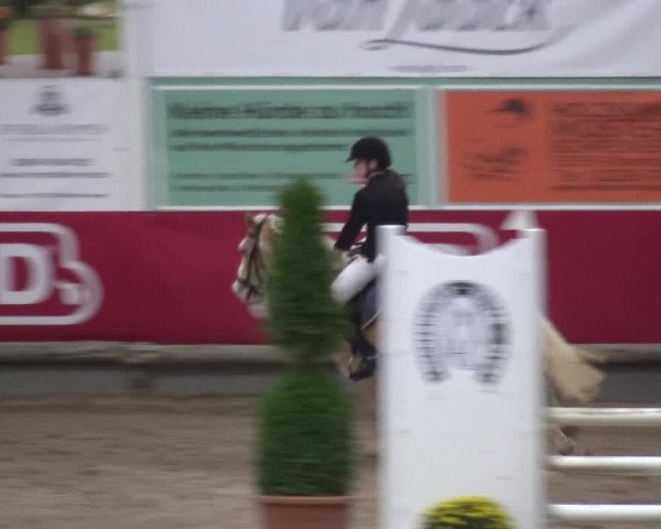 Reitturnier Wachtberg-Adendorf 2019