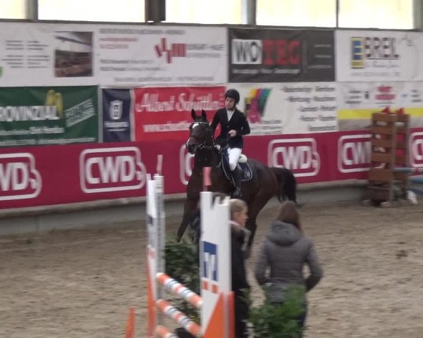 Reitturnier Wachtberg-Adendorf 2019