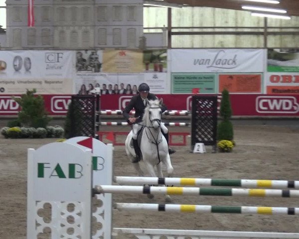 Reitturnier Wachtberg-Adendorf 2019