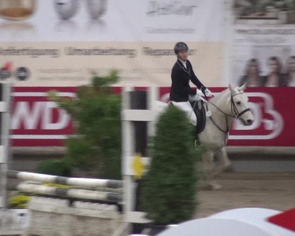 Reitturnier Wachtberg-Adendorf 2019
