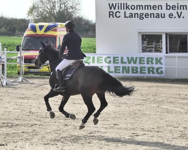 Reitturnier Langenau 2019