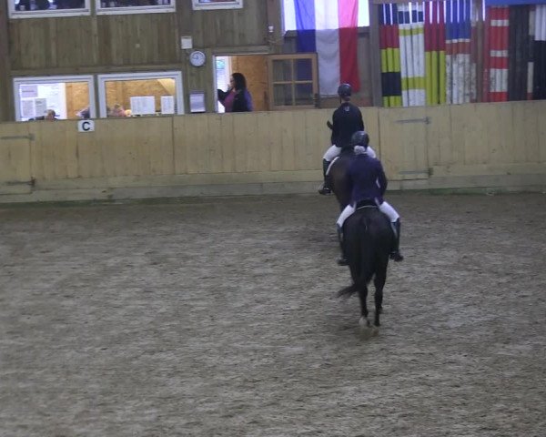 Reitturnier Sörup 2019
