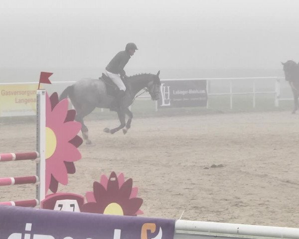 Reitturnier Langenau 2019