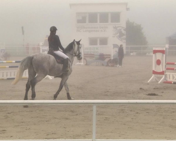 Reitturnier Langenau 2019