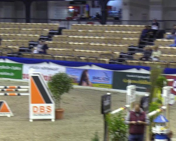 Reitturnier Neumünster 2019