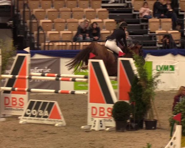 Reitturnier Neumünster 2019