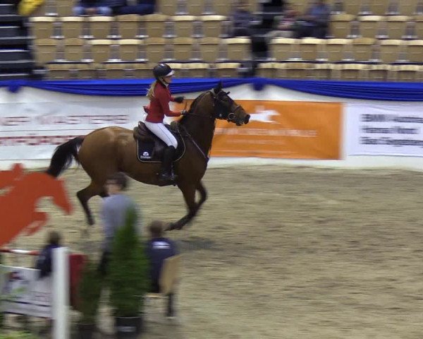Reitturnier Neumünster 2019