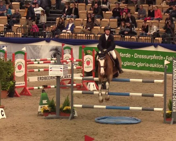 Reitturnier Neumünster 2019