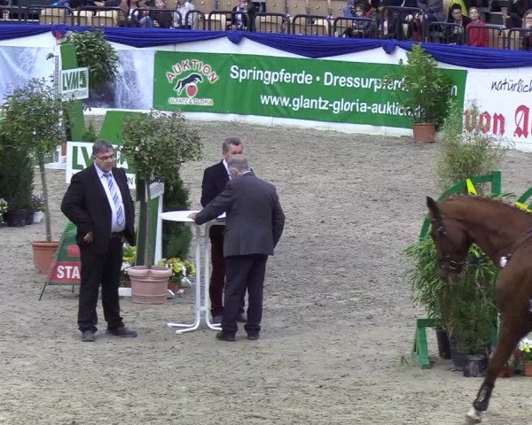 Reitturnier Neumünster 2019