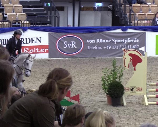 Reitturnier Neumünster 2019