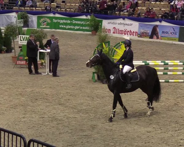 Reitturnier Neumünster 2019