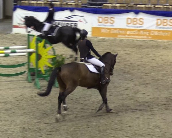Reitturnier Neumünster 2019