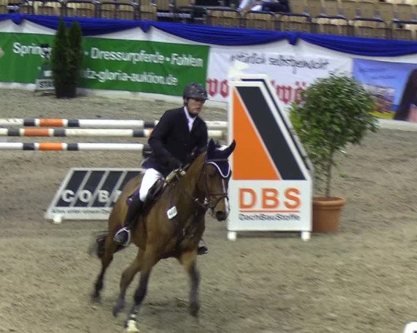 Reitturnier Neumünster 2019