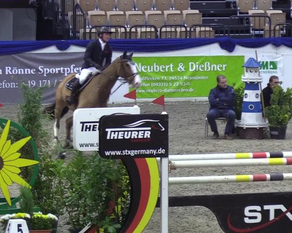 Reitturnier Neumünster 2019