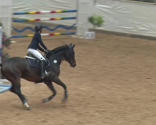 Reitturnier Kreuth/Opf. 2019