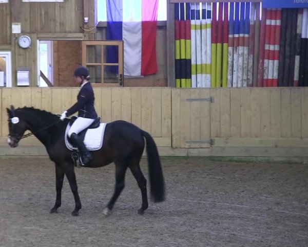 Reitturnier Sörup 2019
