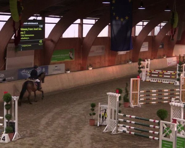 Reitturnier Hövelhof 2019