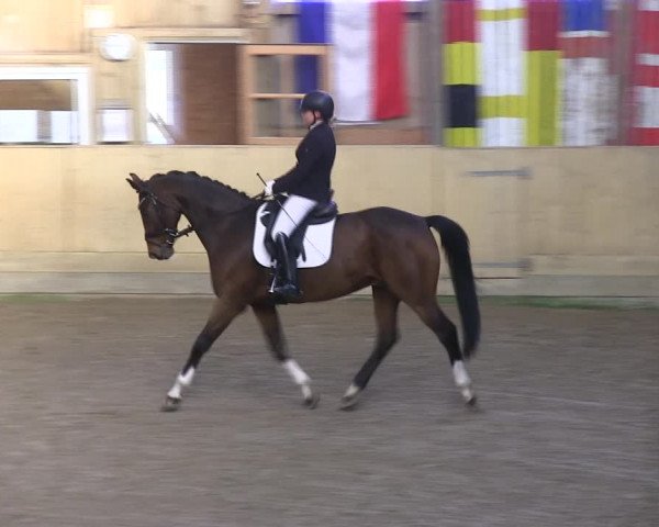 Reitturnier Sörup 2019