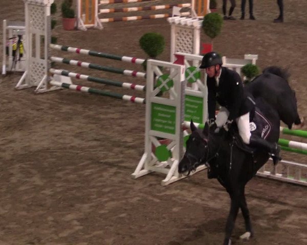 Reitturnier Hövelhof 2019