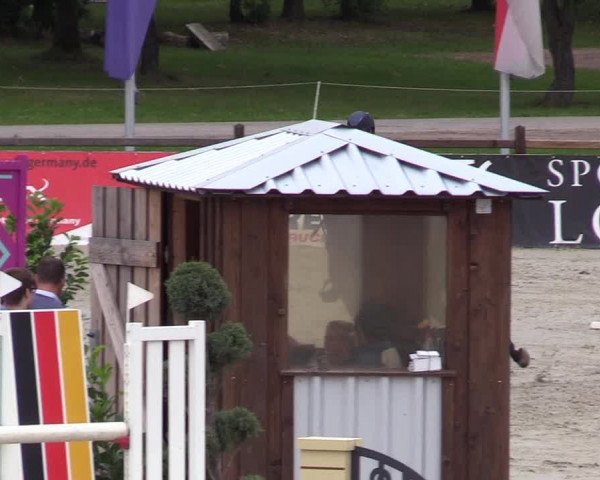 Reitturnier Westergellersen 2021
