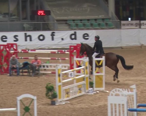 Reitturnier Kreuth/Opf. 2019
