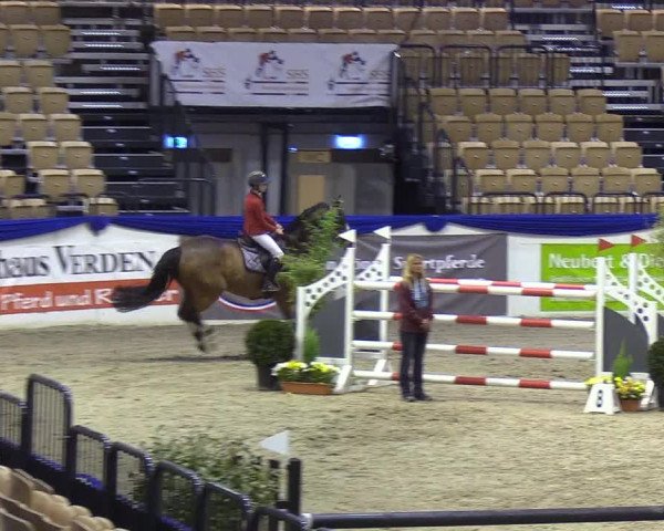 Reitturnier Neumünster 2019