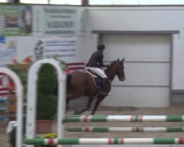 Reitturnier Wachtberg-Adendorf 2019
