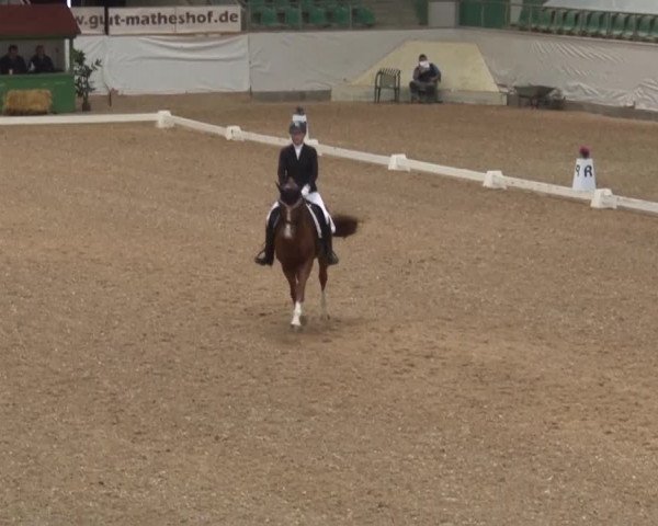 Reitturnier Kreuth/Opf. 2019