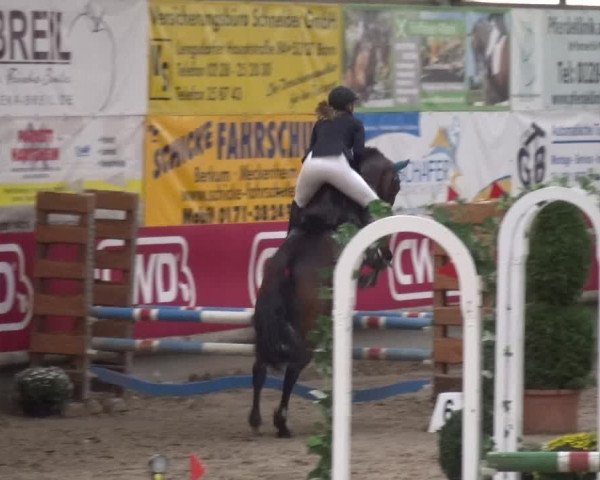 Reitturnier Wachtberg-Adendorf 2019