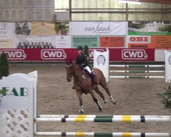 Reitturnier Wachtberg-Adendorf 2019