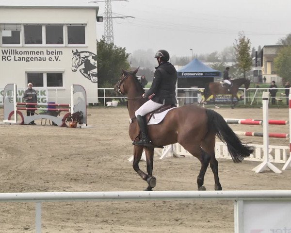 Reitturnier Langenau 2019