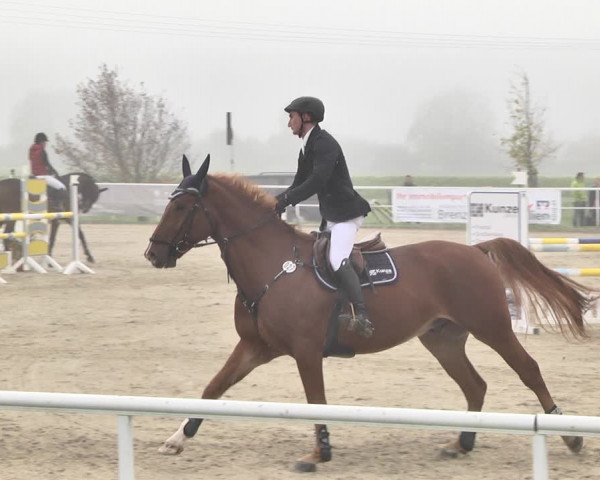 Reitturnier Langenau 2019