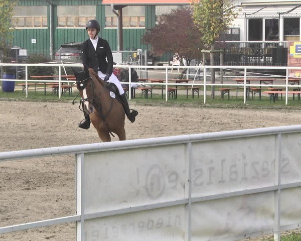 Reitturnier Langenau 2019