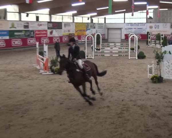 Reitturnier Wachtberg-Adendorf 2019