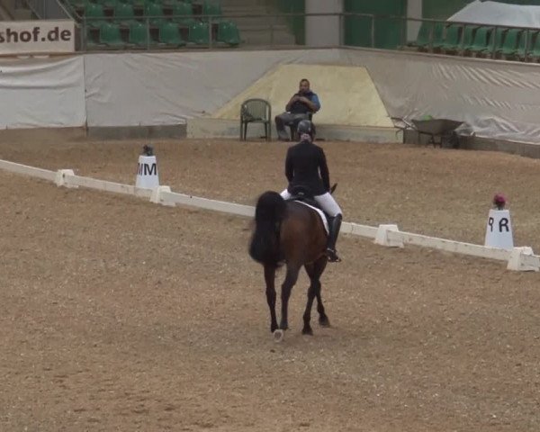Reitturnier Kreuth/Opf. 2019