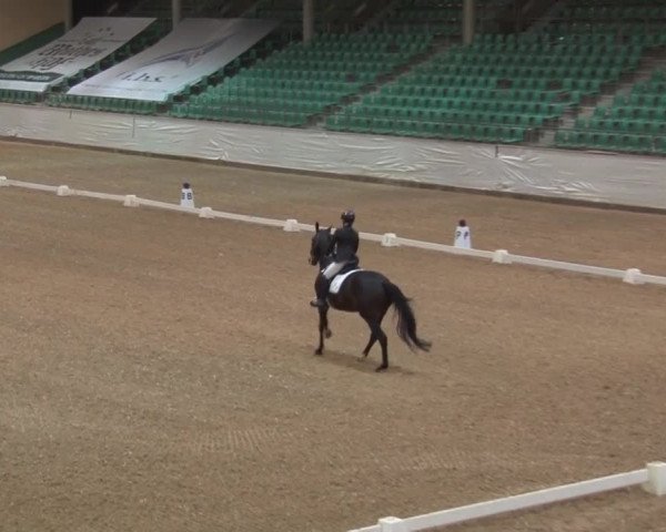 Reitturnier Kreuth/Opf. 2019