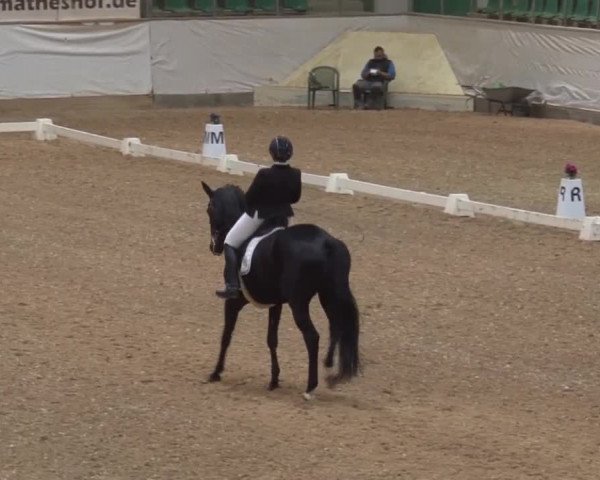 Reitturnier Kreuth/Opf. 2019