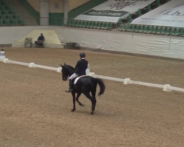 Reitturnier Kreuth/Opf. 2019