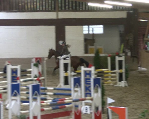 Reitturnier Vlotho-Valdorf 2019