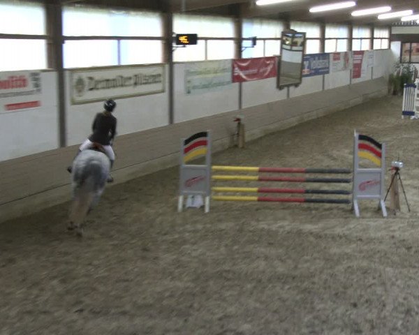 Reitturnier Vlotho-Valdorf 2019