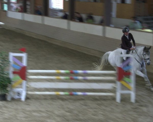 Reitturnier Vlotho-Valdorf 2019