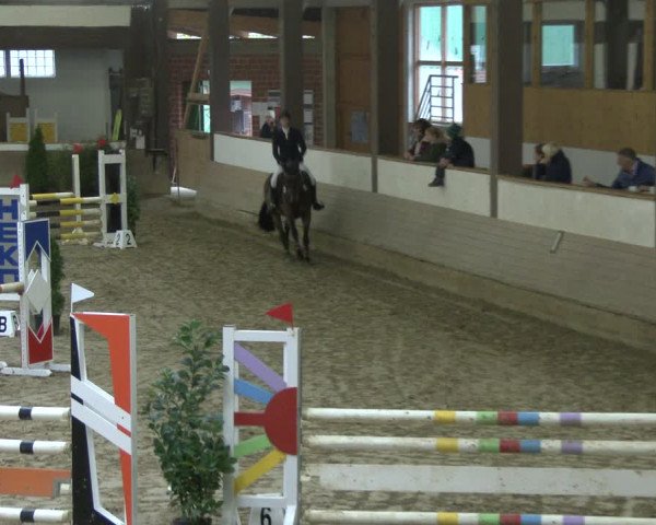 Reitturnier Vlotho-Valdorf 2019
