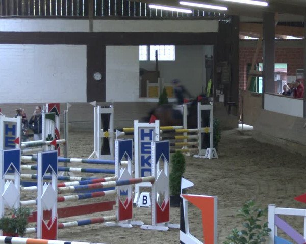 Reitturnier Vlotho-Valdorf 2019