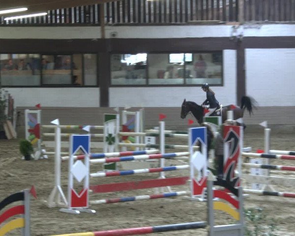 Reitturnier Vlotho-Valdorf 2019