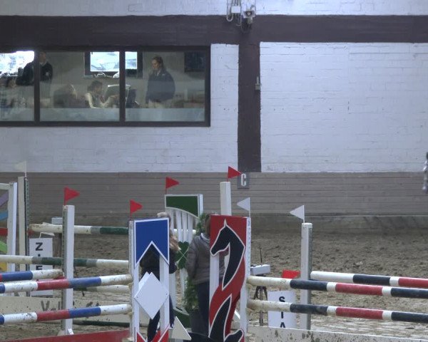 Reitturnier Vlotho-Valdorf 2019