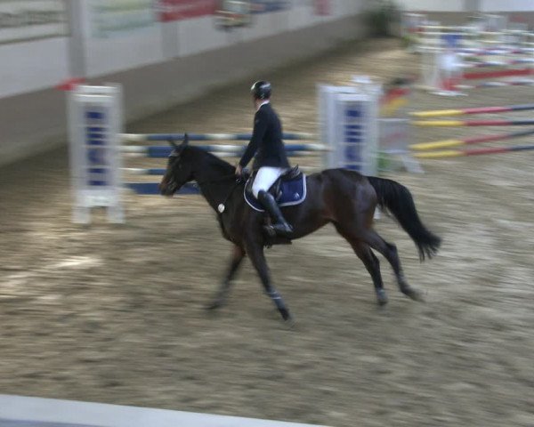 Reitturnier Vlotho-Valdorf 2019